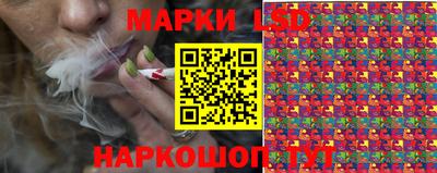 крисы Донской