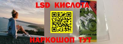 крисы Донской