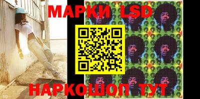 крисы Донской