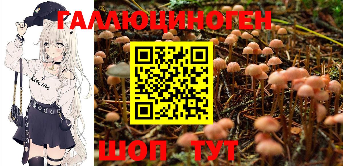 Галлюциногенные грибы Psilocybe  Псилоцибиновые грибы Magic Shrooms  Назарово  магазин продажи наркотиков  Вход с VPN 